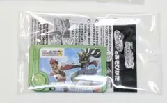 JR東日本ポケモンスタンプラリー2025　フレンダピック　黄色いメガルカリオ