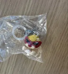 ヒスミニめじるしアクセサリー