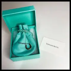 TIFFANY ティファニー ネックレス 蹄鉄 馬蹄 箱付き
