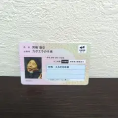 金魚番長　箕輪　カード　単独