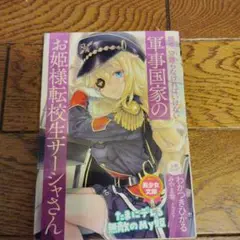 時々、守護(まも)らなければいけない軍事国家のお姫様転校生サーシャさん