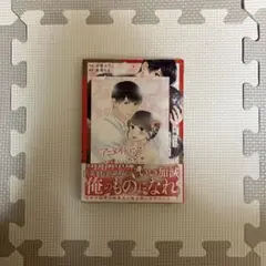 甘くほどける政略結婚～大嫌いな人は愛したがりの許婚でした～１　アニメイト特典同封