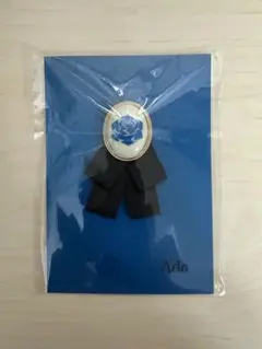 Item thumbnail for item fe03f02e-3261-49f9-aa32-40750fa896cc