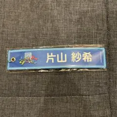 Item thumbnail for item 4ddfda82-62fb-4323-b8e0-a6990ea9dbcb