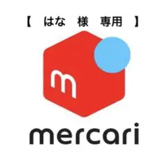 専用出品