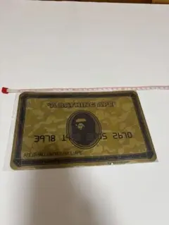 Item thumbnail for item 8086ba29-0989-4429-aaa5-2cd1de2e692f