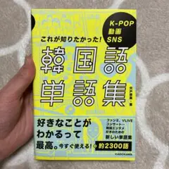 K-POP 動画 SNS これが知りたかった!韓国語単語集