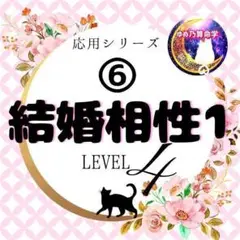 【￥9,700引】ゆめ乃算命学「フルハウス」　レベル１～５　独学　鑑定　本　占い 9,700引】ゆめ乃算命学「フルハウス」 レベル1～5 独学 鑑定