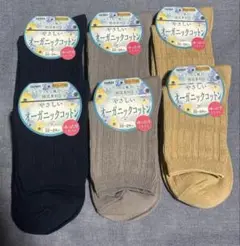 【グンゼ】やさしいオーガニックコットン☆レディース靴下6足セット
