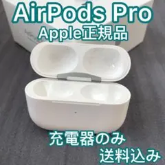 エアーポッズ プロ ケースAirPods pro 充電器 国内正規品