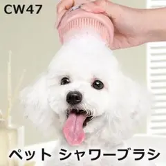 Item thumbnail for item 094659a2-e357-4c15-872d-a47df064a693