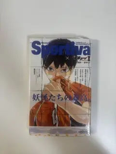 ハイキュー 小説 ショーセツバン I 影山飛雄