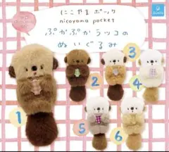 にこやまポッケ ぷかぷかラッコ・おすわりコアラ のぬいぐるみ 4個セット
