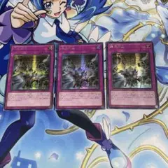 拮抗勝負 アジア シークレット