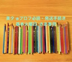 ベロール イーグルカラー　オイル系色鉛筆　96色セット berol 】eagle color/色鉛筆セット｜Yahoo!フリマ（旧PayPayフリマ）