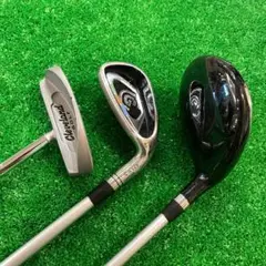 Item thumbnail for item fc160853-6096-4c99-b155-8a9cad9b442f