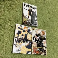 ハイキュー　漫画　3冊セット　バラ　2 19 45巻