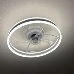 ホワイトリング型シーリングファン