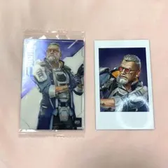 APEX フォト風カード バリスティック Apex Legends トレーディングフォト風カード – インフォレンズ