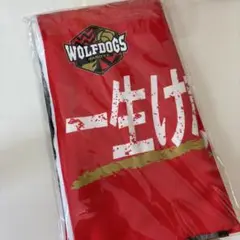 ウルフドッグス名古屋 市川健太選手 高橋良選手 フォトタオル