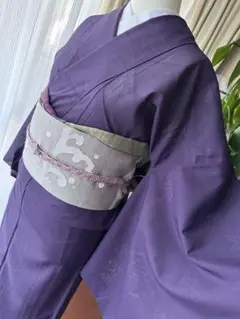 夏キモノ 絽 パープル系紫色 色無地 単品