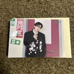 straykids Hollow ラントレ チャンビン