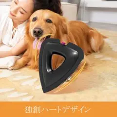 Item thumbnail for item 917261de-b0f8-4699-882f-3a4e474b48c8
