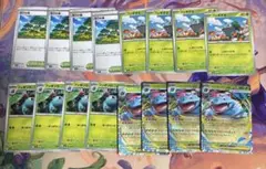 メガフシギバナ ex 進化ライン　活力の森　各4枚
