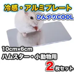 Item thumbnail for item 2274488b-1e03-4984-a0d6-1ae3fa3ae906