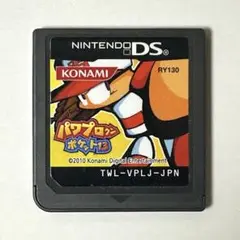 パワプロクンポケット13 DS