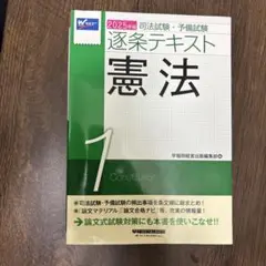 逐条テキスト　憲法2025