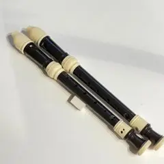 Item thumbnail for item be1debb3-fb57-4b86-86a8-32ce96ff90f1
