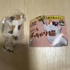 魅惑のボディ　ぽっちゃり猫　ガチャ　ミケ