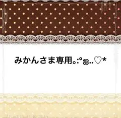 専用ページになります