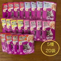 Item thumbnail for item 4dbfe5c4-0eb2-4e28-b8a7-727a281fc86e