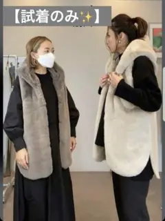 2025年最新】パシオーネ passione ファー ジレ ベストの人気