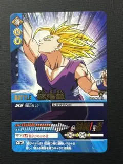ドラゴンボールデータカードダス 孫悟飯①