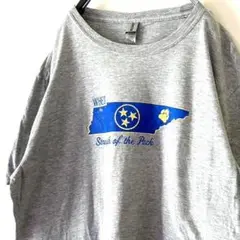 ギルダン WHES Strength Pack Tシャツ L グレー 古着