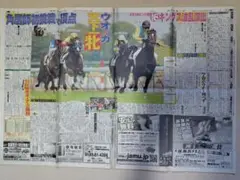 ウオッカ　日本ダービー　日刊スポーツ　新聞　2007年(平成19年)5月28日