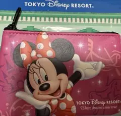 ディズニーリゾート シークレットポーチ ミニーマウス