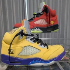 ナイキ AIRJORDAN5 What the 27.5cm