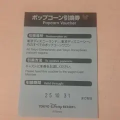 ディズニーランドポップコーンリフィル引換券