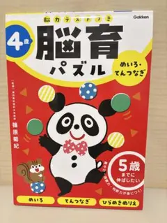 脳育パズル 4歳 篠原菊紀