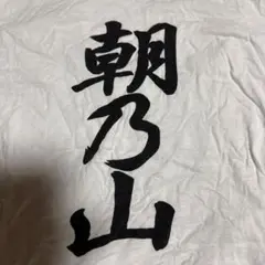 朝乃山　応援Tシャツ　大相撲　レア商品です
