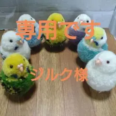 小鳥ポンポン/セキセイインコ　2点