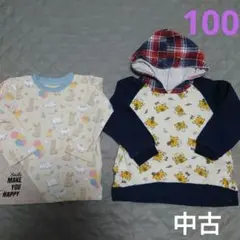 Item thumbnail for item 04a5de82-53fd-48a2-b294-7ed42d3bbc9f