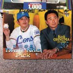 【非売品/当選品】 プロ野球パ・リーグ 埼玉西武ライオンズ 大沼幸二投手 #15 支給品 実使用 スパイク 非売品/当選品】 プロ野球パ・リーグ 埼玉西武ライオンズ 大沼