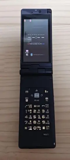 【ジャンク】docomo 携帯電話 P906i + P-09A