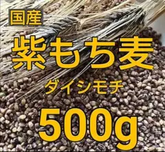 もち麦500g 紫もち麦 ダイシモチ 食べやすく精麦済