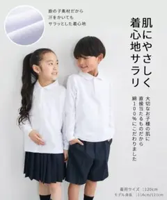 【新品】綿１００％長袖ポロシャツ２枚組（ポケット無し）